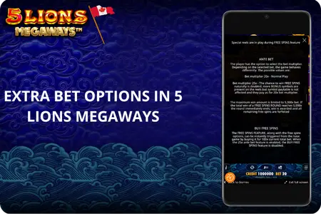 Additional betting options in 5 Lions Megaways