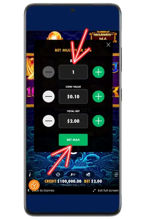 in 5 Lions Megaways Slot, set your bet and start playing