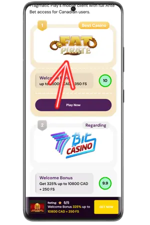 To play 5 Lions Megaways slot go to a casino from the rating