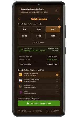 before playing 5 Lions Megaways Slot, make a deposit at the casino